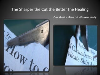 The Sharper the Cut the Better the Healing
One sheet – clean cut - Pruners ready
 