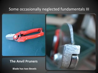 Some occasionally neglected fundamentals III
The Anvil Pruners
Blade has two Bevels
 