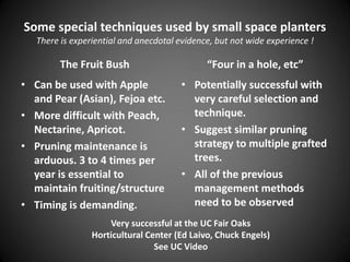 Some special techniques used by small space planters
There is experiential and anecdotal evidence, but not wide experience !
The Fruit Bush
• Can be used with Apple
and Pear (Asian), Fejoa etc.
• More difficult with Peach,
Nectarine, Apricot.
• Pruning maintenance is
arduous. 3 to 4 times per
year is essential to
maintain fruiting/structure
• Timing is demanding.
“Four in a hole, etc”
• Potentially successful with
very careful selection and
technique.
• Suggest similar pruning
strategy to multiple grafted
trees.
• All of the previous
management methods
need to be observed
Very successful at the UC Fair Oaks
Horticultural Center (Ed Laivo, Chuck Engels)
See UC Video
 