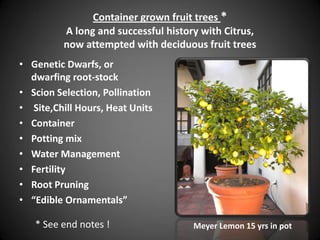 Container grown fruit trees *
A long and successful history with Citrus,
now attempted with deciduous fruit trees
• Genetic Dwarfs, or
dwarfing root-stock
• Scion Selection, Pollination
• Site,Chill Hours, Heat Units
• Container
• Potting mix
• Water Management
• Fertility
• Root Pruning
• “Edible Ornamentals”
* See end notes ! Meyer Lemon 15 yrs in pot
 