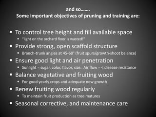 and so…….
Some important objectives of pruning and training are:
 To control tree height and fill available space
 “light on the orchard floor is wasted!”
 Provide strong, open scaffold structure
 Branch-trunk angles at 45-60° (fruit spurs/growth-shoot balance)
 Ensure good light and air penetration
 Sunlight = sugar, color, flavor, size. Air flow = < disease resistance
 Balance vegetative and fruiting wood
 For good yearly crops and adequate new growth
 Renew fruiting wood regularly
 To maintain fruit production as tree matures
 Seasonal corrective, and maintenance care
 