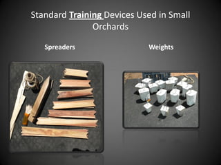 Standard Training Devices Used in Small
Orchards
Spreaders Weights
 