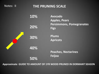 THE PRUNING SCALE
10%
20%
30%
40%
50%
Approximate GUIDE TO AMOUNT OF 1YR WOOD PRUNED IN DORMANT SEASON
Avocado
Apples, Pears
Persimmons, Pomegranates
Figs
Plums
Apricots
Peaches, Nectarines
Feijoa
Notes: II
 