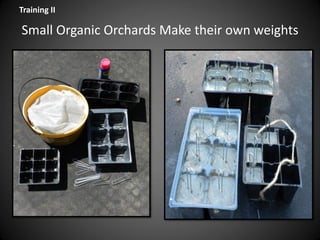 Small Organic Orchards Make their own weights
Training II
 