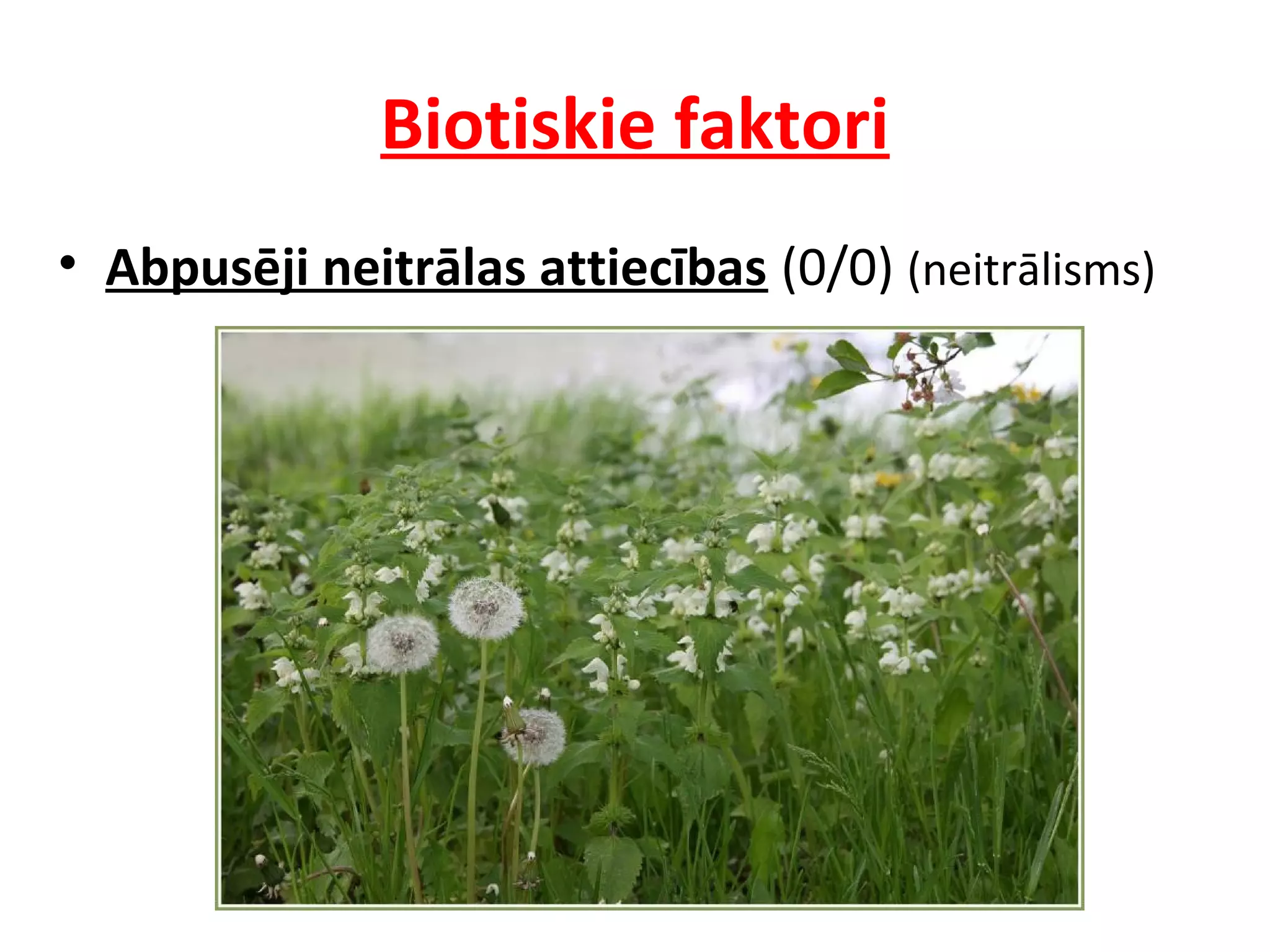 10 21 ekologiskie_faktori | PPT