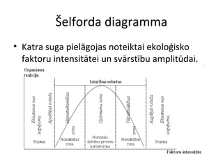 10 21 ekologiskie_faktori | PPT