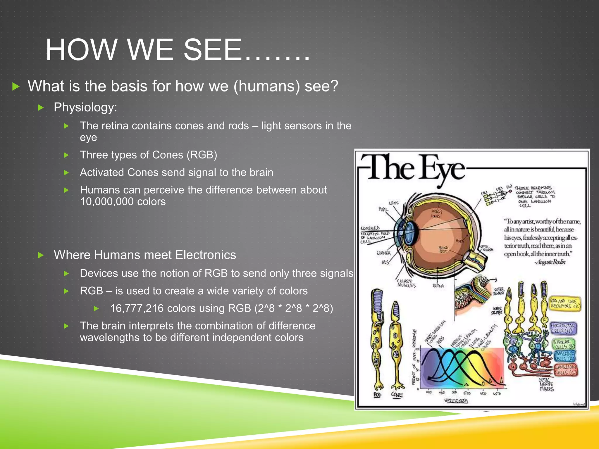 HOW WE SEE…….
 What is the basis for how we (humans) see?
 Physiology:
 The retina contains cones and rods – light sensors in the
eye
 Three types of Cones (RGB)
 Activated Cones send signal to the brain
 Humans can perceive the difference between about
10,000,000 colors
 Where Humans meet Electronics
 Devices use the notion of RGB to send only three signals
 RGB – is used to create a wide variety of colors
 16,777,216 colors using RGB (2^8 * 2^8 * 2^8)
 The brain interprets the combination of difference
wavelengths to be different independent colors
 
