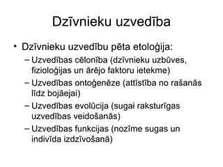 Dzīvnieku uzvedība 
• Dzīvnieku uzvedību pēta etoloģija: 
– Uzvedības cēlonība (dzīvnieku uzbūves, 
fizioloģijas un ārējo faktoru ietekme) 
– Uzvedības ontoģenēze (attīstība no rašanās 
līdz bojāejai) 
– Uzvedības evolūcija (sugai raksturīgas 
uzvedības veidošanās) 
– Uzvedības funkcijas (nozīme sugas un 
indivīda izdzīvošanā) 
 