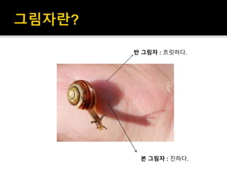 반 그림자 : 흐릿하다.
본 그림자 : 진하다.
 