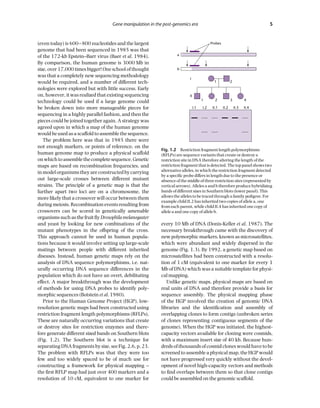 Principles Of Gene Manipulation And Genomics 7ed Primrose Sb | PDF