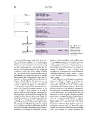 Principles Of Gene Manipulation And Genomics 7ed Primrose Sb | PDF
