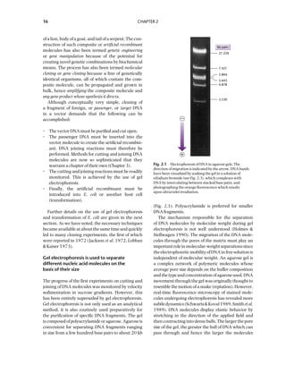 Principles Of Gene Manipulation And Genomics 7ed Primrose Sb | PDF
