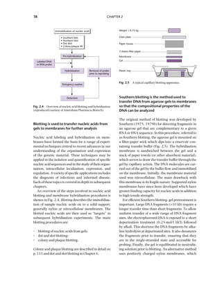 Principles Of Gene Manipulation And Genomics 7ed Primrose Sb | PDF