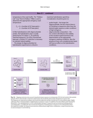 Principles Of Gene Manipulation And Genomics 7ed Primrose Sb | PDF