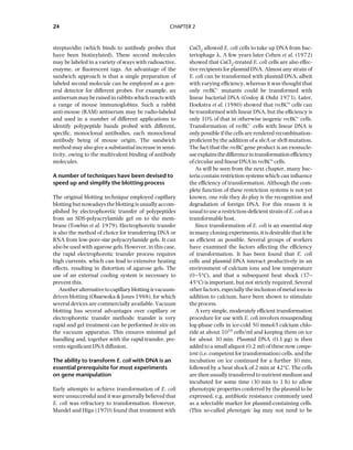 Principles Of Gene Manipulation And Genomics 7ed Primrose Sb | PDF