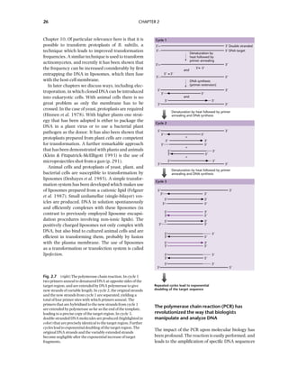 Principles Of Gene Manipulation And Genomics 7ed Primrose Sb | PDF