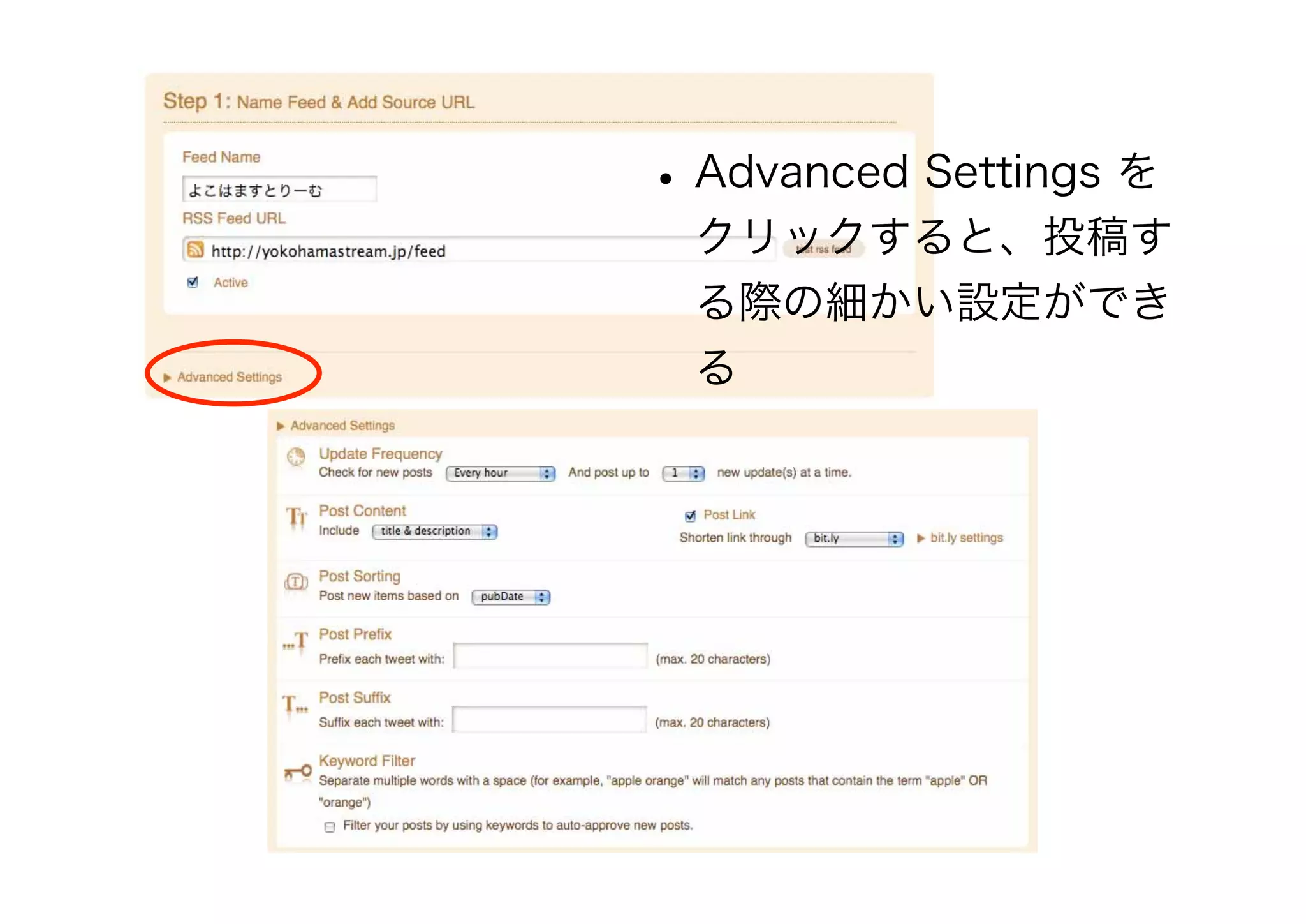•Advanced Settings を
クリックすると、投稿す
る際の細かい設定ができ
る
 