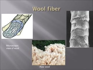 Microscopic view of wool Raw wool 