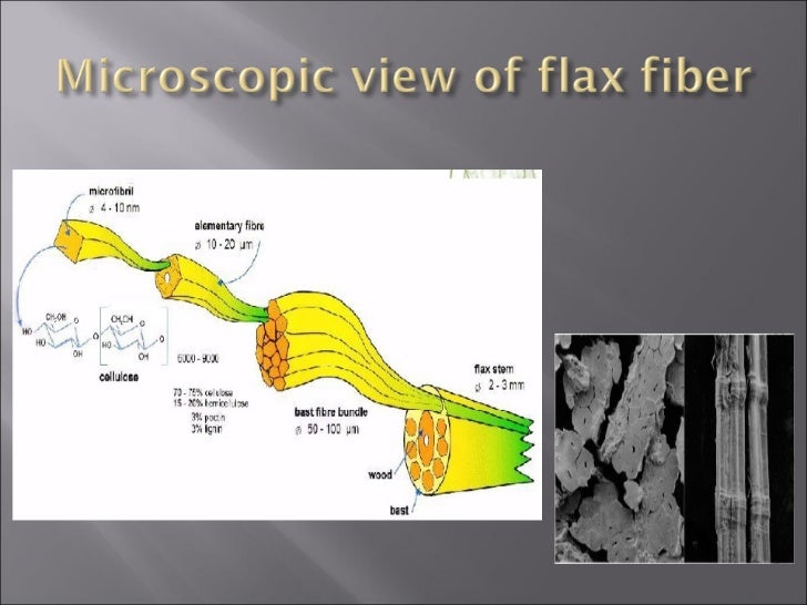 Fibers