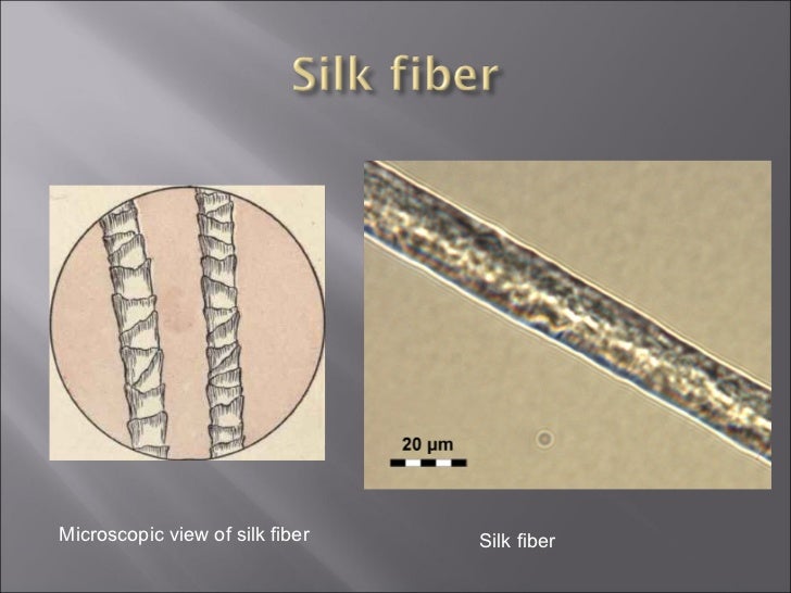 Fibers