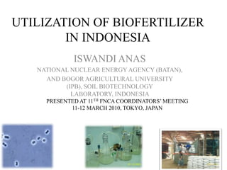 UTILIZATION OF BIOFERTILIZER IN INDONESIA ISWANDI ANAS NATIONAL NUCLEAR ENERGY AGENCY (BATAN), AND BOGOR AGRICULTURAL UNIVERSITY (IPB), SOIL BIOTECHNOLOGY LABORATORY, INDONESIA  PRESENTED AT 11TH FNCA COORDINATORS’ MEETING   11-12 MARCH 2010, TOKYO, JAPAN  