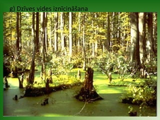 g) Dzīves vides iznīcināšana 
 