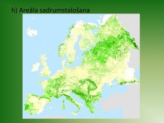 h) Areāla sadrumstalošana 
 