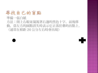 準備一張白紙
方法：閉上右眼並凝視著右邊的黑色十字。前後移
動，當左方的圓點消失時表示它正落於 的盲點上。您
（通常在相距 20 公分左右時會出現）
 