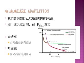  我們會調整自己以適應環境的刺激
 如：進入電影院、在 Pub 聊天
 光適應
 由暗處走到光亮處
 暗適應
 從光亮處走到暗處
 
