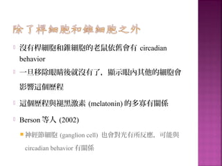  沒有桿細胞和錐細胞的老鼠依舊會有 circadian
behavior
 一旦移除眼睛後就沒有了，顯示眼內其他的細胞會
影響這個歷程
 這個歷程與褪黑激素 (melatonin) 的多寡有關係
 Berson 等人 (2002)
 神經節細胞 (ganglion cell) 也會對光有所反應，可能與
circadian behavior 有關係
 