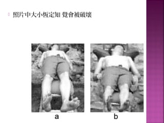  照片中大小恆定知 覺會被破壞
 