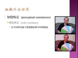  知覺恆定 (perceptual constancies)
 顏色恆定 (color constancy)
 在不同的光源下依舊能區辨不同的顏色
 