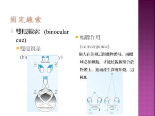  雙眼線索 (binocular
cue)
雙眼視差
(binocular disparity)
 幅驟作用
(convergence)
個人在注視近距離物體時，兩眼
球必須轉動，才能使視線聚合於
物體上，進而產生深度知覺，這
種現象稱為輻輳
 
