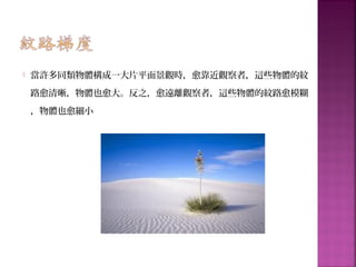  當許多同類物體構成一大片平面景觀時，愈靠近觀察者，這些物體的紋
路愈清晰，物體也愈大。反之，愈遠離觀察者，這些物體的紋路愈模糊
，物體也愈細小
 