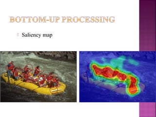  Saliency map
 