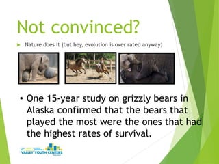 Not convinced?
 Nature does it (but hey, evolution is over rated anyway)
• One 15-year study on grizzly bears in
Alaska confirmed that the bears that
played the most were the ones that had
the highest rates of survival.
 