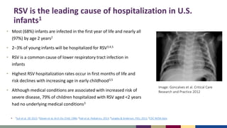 102623_slides.pdf rsv infection and prevention | PDF