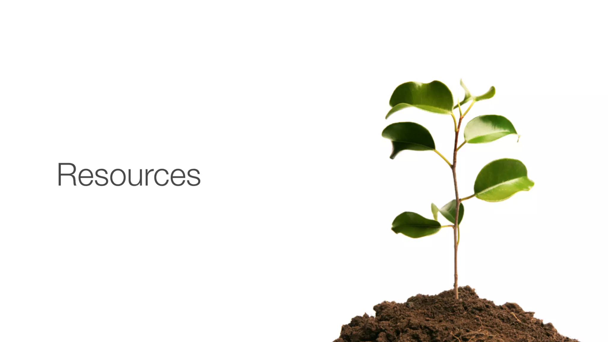 Trends in Learning Today: Where Should I Focus? #DevLearn 2019