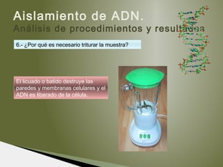 Aislamiento de ADN.
Análisis de procedimientos y resultados
6.- ¿Por qué es necesario triturar la muestra?
El licuado o batido destruye las
paredes y membranas celulares y el
ADN es liberado de la célula.
 