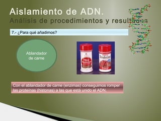 Aislamiento de ADN.
Análisis de procedimientos y resultados
Con el ablandador de carne (enzimas) conseguimos romper
las proteínas (histonas) a las que está unido el ADN.
7.- ¿Para qué añadimos?
Ablandador
de carne
 
