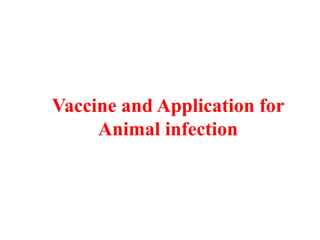 Vaccine and Application for
Animal infection
 