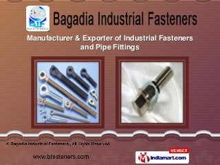 Manufacturer & Exporter of Industrial Fasteners
              and Pipe Fittings
 