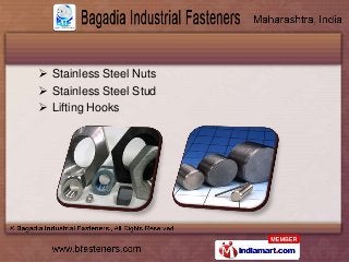  Stainless Steel Nuts
 Stainless Steel Stud
 Lifting Hooks
 