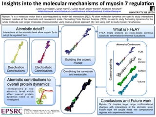 Atoms to Continuum:
Insights	
  into	
  the	
  molecular	
  mechanisms	
  of	
  myosin	
  7	
  regula4on	
  
Glenn	
  Carrington1,	
  Sarah	
  Harris2,	
  Daniel	
  Read3,	
  Oliver	
  Harlen3,	
  Michelle	
  Peckham1	
  	
  
bs10g3c@leeds.ac.uk,	
  s.a.harris@leeds.ac.uk,	
  d.j.read@leeds.ac.uk,	
  o.j.harlen@leeds.ac.uk,	
  M.peckham@leeds.ac.uk	
  	
  	
  	
  
1	
  Faculty	
  of	
  Biological	
  Sciences,	
  University	
  of	
  Leeds,	
  LS2	
  9JT	
  2	
  School	
  of	
  Physics	
  and	
  Astronomy,	
  University	
  of	
  Leeds,	
  LS2	
  9JT	
  3	
  School	
  of	
  MathemaPcs,	
  University	
  of	
  Leeds,	
  LS2	
  9JT	
  	
  
Myosin 7a is a molecular motor that is auto-regulated by motor–tail interactions [1][2]. All atom molecular dynamics are used to study interactions
between residues at the nanometre and nanosecond scale. Fluctuating Finite Element Analysis (FFEA) is used to study fluctuating dynamics for the
whole molecule over longer timescales (microseconds), using coarse-grained approach [3]. I am using both to study myosin 7a behaviour.
What is FFEA?
FFEA treats proteins as visco-elastic continua
subject to deformation by thermal fluctuations.
PDB
EM
Density
Surface
Volume
Atomistic detail?
Interactions at the atomistic level allow myosin 7a to
adopt its regulated form.
Atomistic contributions to
overall protein dynamics:
I n t e r a c t i o n s a t t h e
atomistic level which
affect overall protein
dynamics need to be
investigated.
Coarse-graining
References:
[1] - Yang, Y. et al. (2009) Proc. Natl. Acad. Sci. U. S. A. 106, 4189–4194.
[2] - Umeki, N. et al. (2009) Proc. Natl. Acad. Sci. U. S. A. 106, 8483–8488.
[3] - Oliver, R. C. et al. (2013) J. Comput. Phys. 239, 147–165.
Conclusions and Future work
Myosin 7a couples large range conformational
changes with interactions at the atomistic level.
Future work will couple these two computational
regimes with experimental results.
Desolvation
Contributions
Electrostatic
Contributions Combining the nanoscale
and mesoscale:
Building the atomic
model:
 