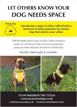 LET OTHERS KNOW YOUR
DOG NEEDS SPACE
With this bright yellow range of collars, leads & harnesses
people can see that your dog is nervous & needs space
giving you safety and peace of mind on & off the lead.
Durable, lightweight & washable.
01344 868200/07740 723524
www.myanxiousdog.co.uk
sarah@myanxiousdog.co.uk facebook.com/bellajonescollars
Anxious Dog
MY
Introducing a range of yellow collars/leads &
harnesses to bring awareness for anxious
dogs that need to wear yellow
 