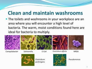 Clean and maintain washrooms
 The toilets and washrooms in your workplace are an
area where you will encounter a high level of

bacteria. The warm, moist conditions found here are
ideal for bacteria to multiply.

Campylobacter

Salmonella

E-Coli

Clostridium
perfringens

Clostridium difficile

MRSA

Pseudomonas

7

 