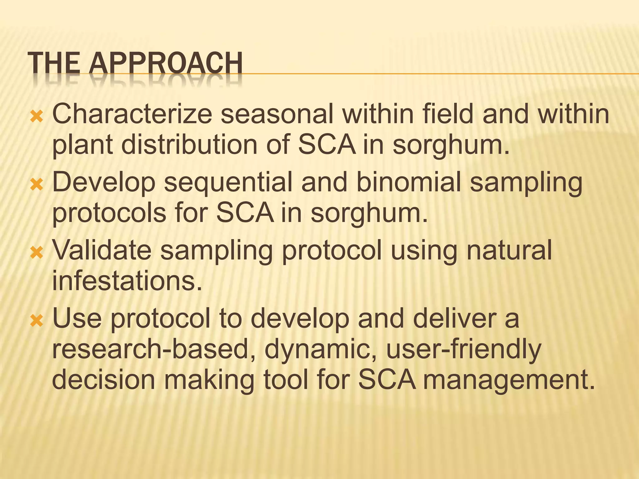 Developing a sampling plan for sugarcane aphid in sorghum | PPTX ...