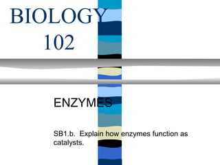 BIOLOGY
   102

   ENZYMES

   SB1.b. Explain how enzymes function as
   catalysts.
 