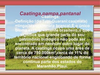 Caatinga,pampa,pantanal
                Caatinga:
-Definição:(do Tupi-Guarani:caa(mata)
 +tinga(branca)=mata branca).É o único
 bioma exclusivamente brasileiro,o que
    significa que grande parte do seu
    patrimônio biológico não pode ser
 encontrado em nenhum outro lugar do
 planeta. A caatinga ocupa uma área de
  cerca de 750.000km²,cerca de 11% do
território nacional englobando de forma
      contínua parte dos estados do
             Maranhão,Piauí.
 
