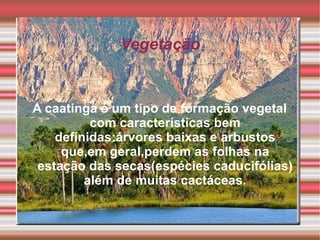 Vegetação


A caatinga é um tipo de formação vegetal
          com características bem
    definidas:árvores baixas e arbustos
     que,em geral,perdem as folhas na
 estação das secas(espécies caducifólias)
         além de muitas cactáceas.
 